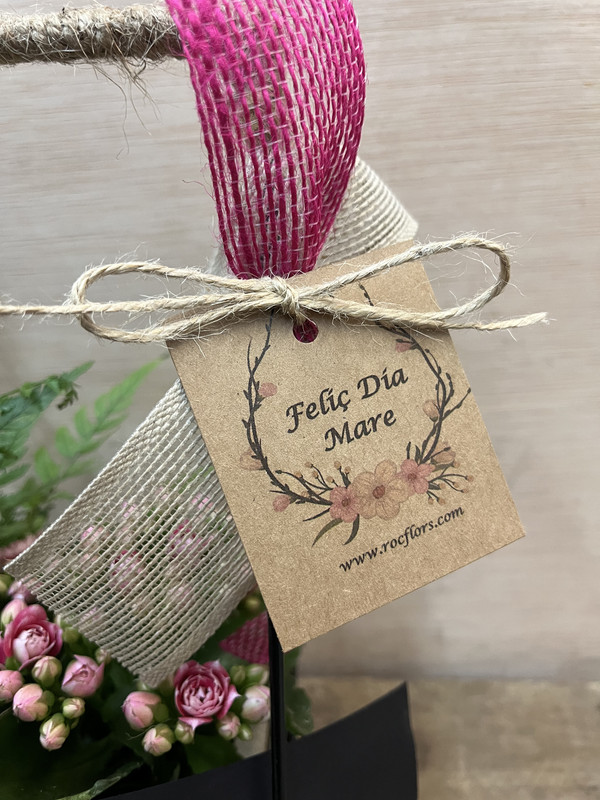 CENTRO METÁLICO MARIPOSAS CON PLANTAS DIA DE LA MADRE