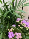 CENTRO METÁLICO JAULA CON PLANTAS DIA DE LA MADRE