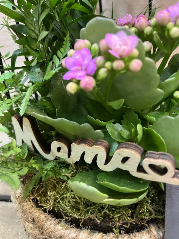 CENTRO METÁLICO JAULA CON PLANTAS DIA DE LA MADRE