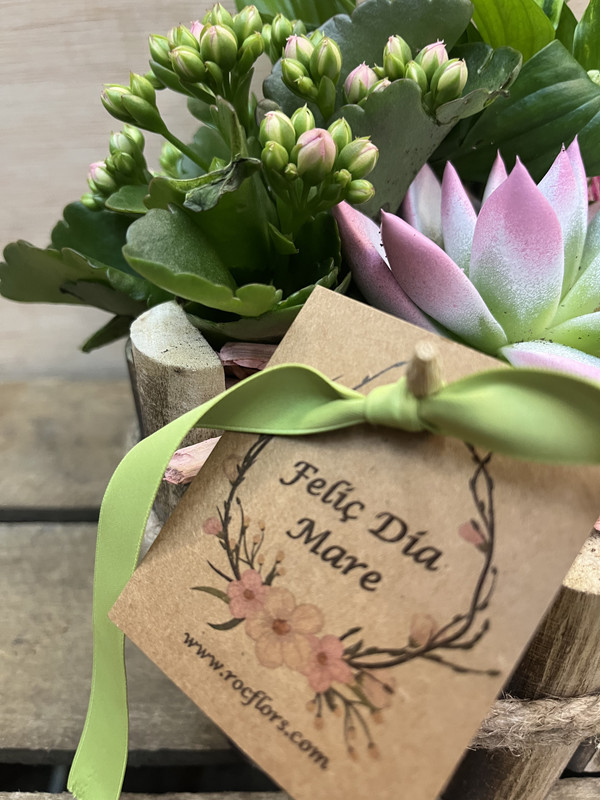 CENTRO MADERAS CON PLANTAS DIA DE LA MADRE