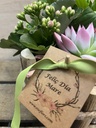 CENTRO MADERAS CON PLANTAS DIA DE LA MADRE