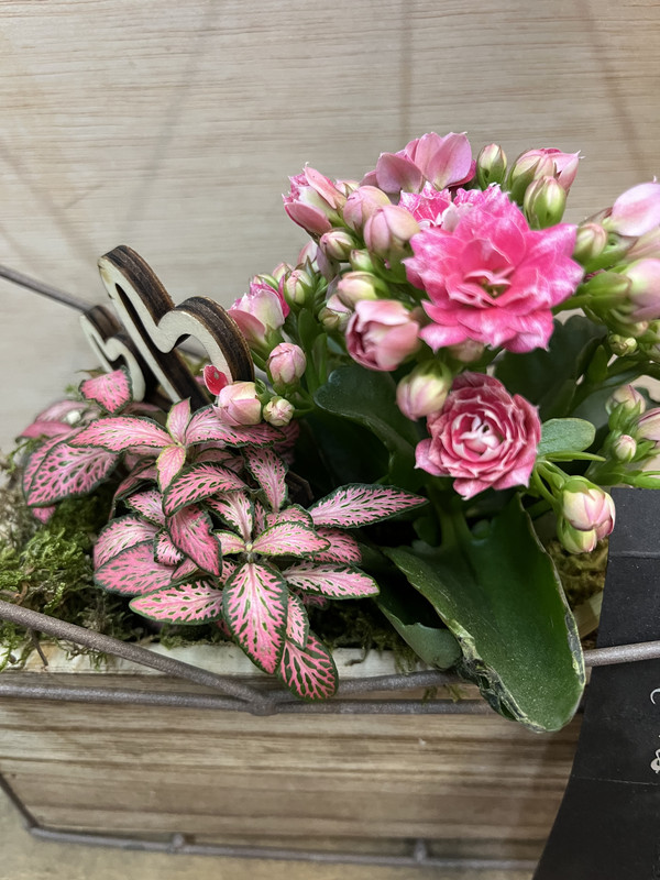 CENTRO METÁLICO CORAZÓN CON PLANTAS DIA DE LA MADRE