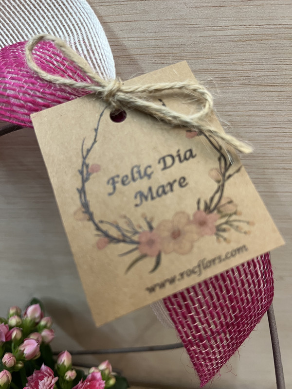 CENTRO METÁLICO CORAZÓN CON PLANTAS DIA DE LA MADRE