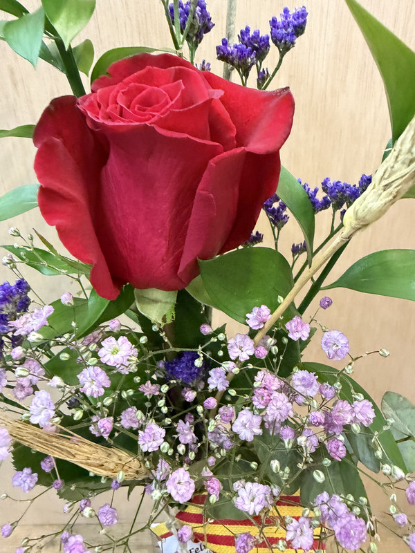 VIOLETERO CON DRAGON PELUCHE VERDE SANT JORDI