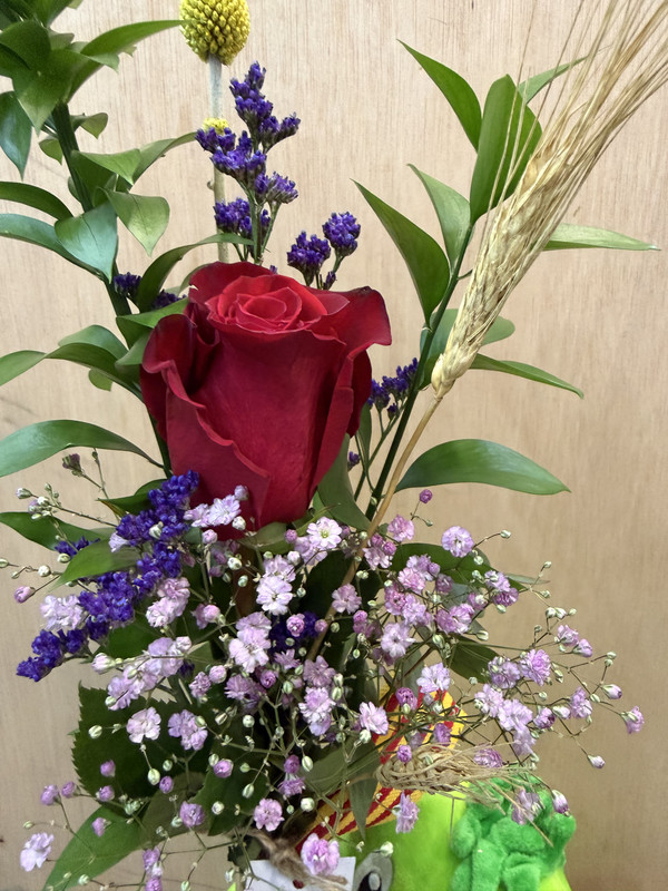 VIOLETERO CON DRAGON PELUCHE 30 CM SANT JORDI