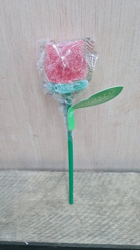 ROSA GOMINOLA SANT JORDI