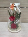 1 CUPULA DE CRISTAL 30CM CON 2 ROSAS PRESERVADAS SANT JORDI SJ26