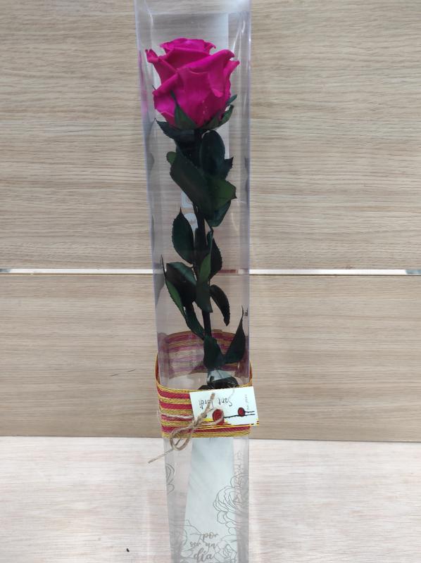 Rosa -Eterna Preservada ROSA  50CM-6-6.5 DIAMETRO CABEZA ROSA SANT JORDI SJ37
