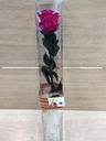 Rosa -Eterna Preservada ROSA  50CM-6-6.5 DIAMETRO CABEZA ROSA SANT JORDI SJ37