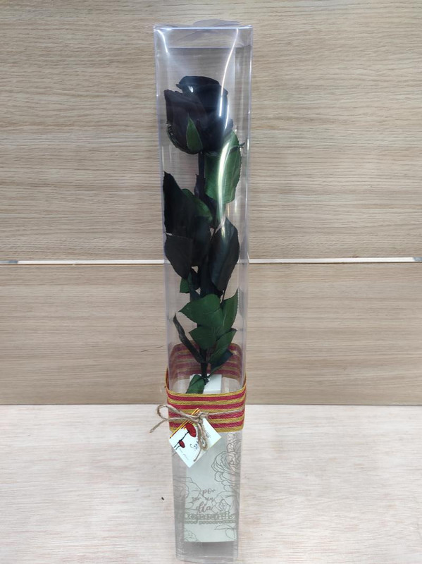 Rosa -Eterna Preservada NEGRA 50CM-6-6.5 DIAMETRO CABEZA ROSA SANT JORDI SJ40