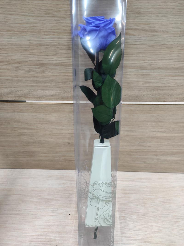 Rosa -Eterna Preservada LILA 50CM-6-6.5 DIAMETRO CABEZA ROSA SANT JORDI SJ41