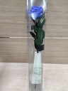 Rosa -Eterna Preservada LILA 50CM-6-6.5 DIAMETRO CABEZA ROSA SANT JORDI SJ41