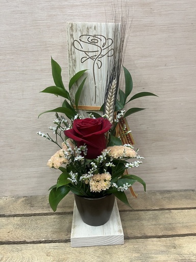 Roc Flors - Floristería Terrassa