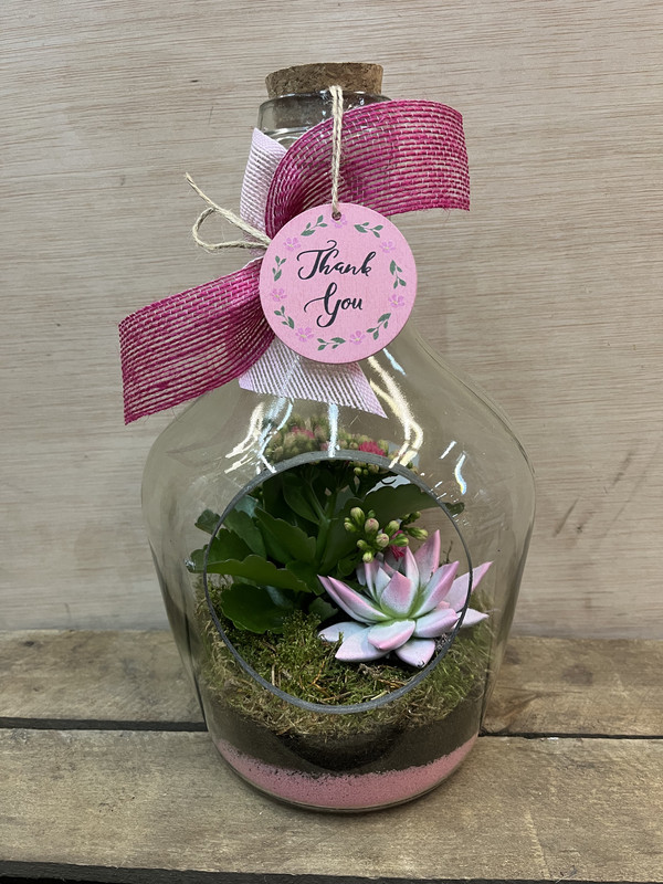 TERRARIO CRISTAL BOTELLA CON PLANTAS DIA DE LA MADRE