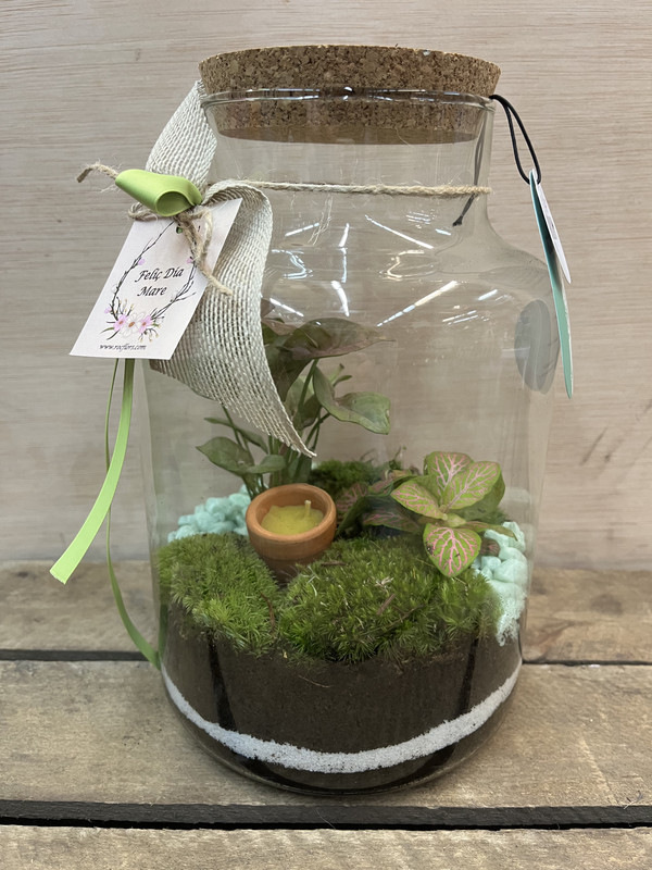 TERRARIO CRISTAL CILINDRO CON PLANTAS DIA DE LA MADRE