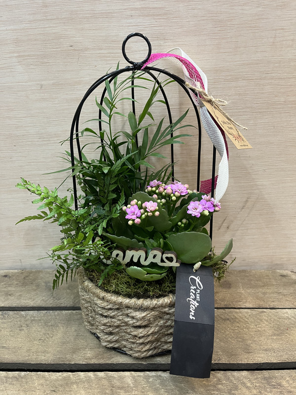 CENTRO METÁLICO JAULA CON PLANTAS DIA DE LA MADRE