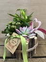CENTRO MADERAS CON PLANTAS DIA DE LA MADRE