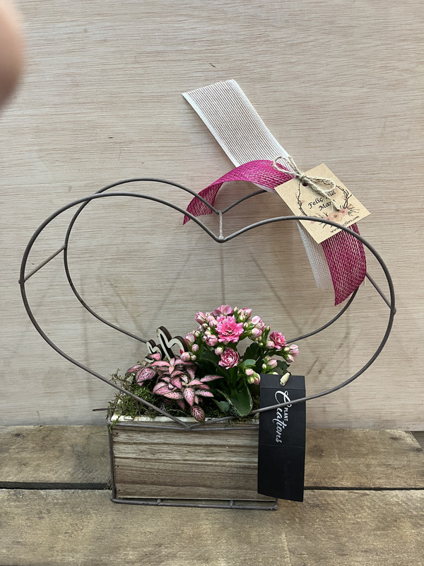 CENTRO METÁLICO CORAZÓN CON PLANTAS DIA DE LA MADRE