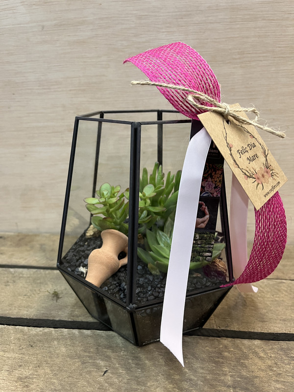 TERRARIO CRISTAL HEXÁGONO CON CAPTUS DIA DE LA MADRE