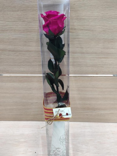 [SJ37] Rosa -Eterna Preservada ROSA  50CM-6-6.5 DIAMETRO CABEZA ROSA SANT JORDI SJ37