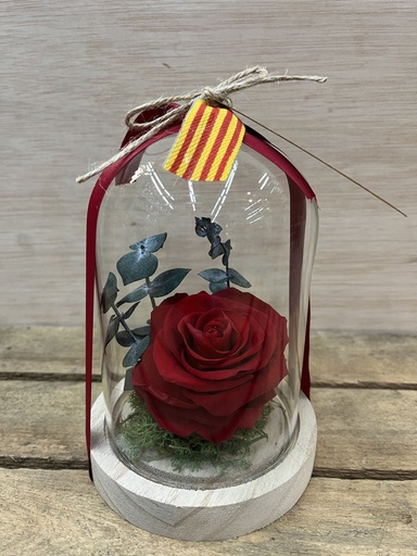 [SJ131] CÚPULA ROSA PRESERVADA CON LUZ ALTURA 16CM SANT JORDI