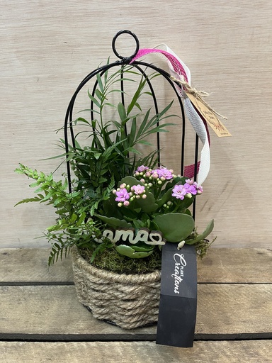 [DM119] CENTRO METÁLICO JAULA CON PLANTAS DIA DE LA MADRE