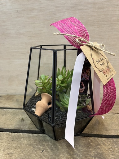 [DM122] TERRARIO CRISTAL HEXÁGONO CON CAPTUS DIA DE LA MADRE